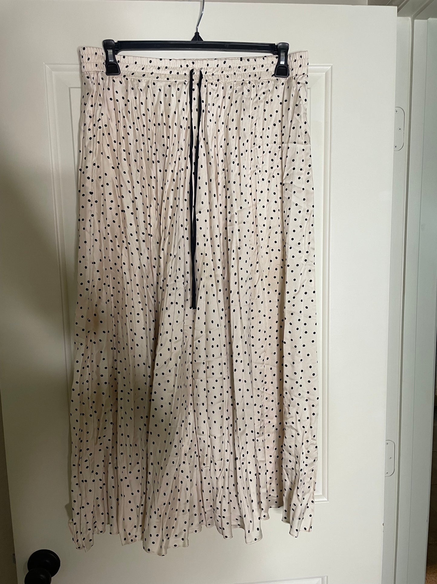 Zara polka dot maxi skirt